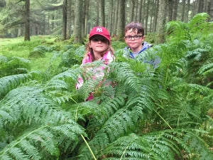 Lent's Have Fun Campaign.