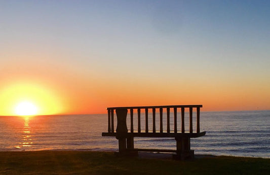 The Bereaved Father - Irish Times 20th June